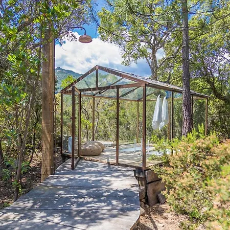 Domaine De Casanghjulina * Porto-Vecchio (Corsica)
