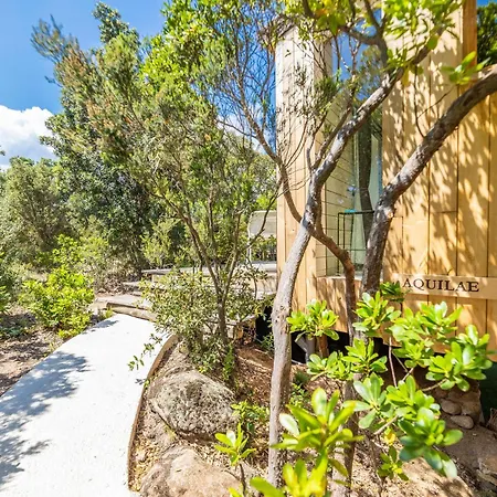 Domaine De Casanghjulina Porto-Vecchio (Corsica)