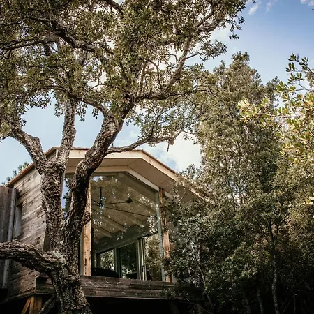 Domaine De Casanghjulina Porto-Vecchio (Corsica)