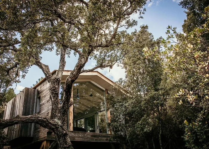 Du Domaine Casanghjulina Porto Vecchio